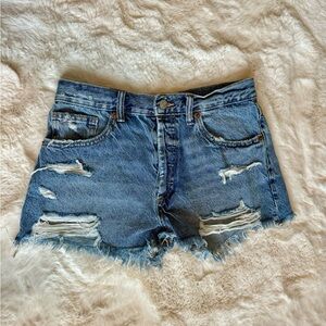 ZARA Denim Ripped Shorts